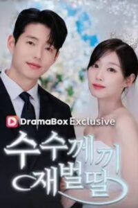 The Mysterious Chaebol Daughter